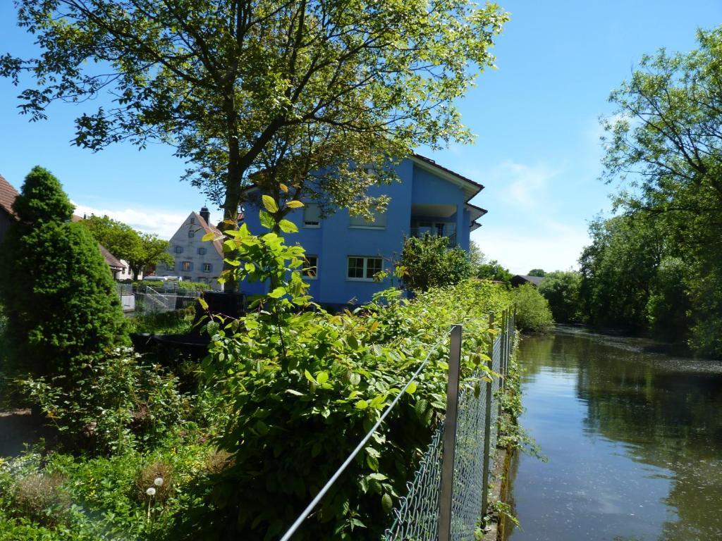 Hotel Muhleinsel Kenzingen Pokoj fotografie