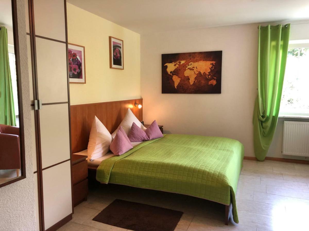 Hotel Muehleinsel Kenzingen Exteriér fotografie